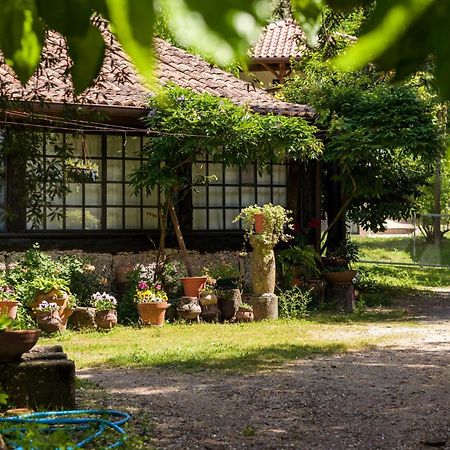 세로리코데바스토 Chale Da Quinta "Lavoura Da Bouca - Fruta Bio" 게스트하우스 외부 사진